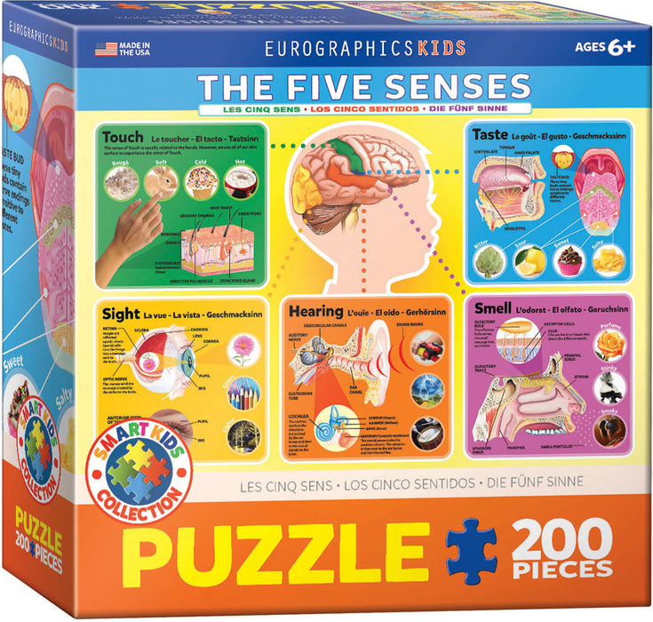 Puzzle: Educational Charts for Kids - The Five Senses - for just $9.99! 