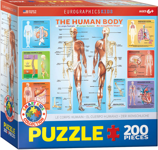 Puzzle: Educational Charts for Kids - The Human Body - for just $9.99! 