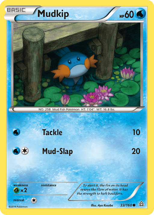 Mudkip (33/160) [XY: Primal Clash] - for just $0.20! 