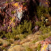 Gamers Grass Tufts: Spikey Green - 12mm - Wild - for just $11.99! 