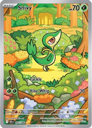 Snivy 087/086 - SV Black Bolt Holofoil - for just $14.46! 