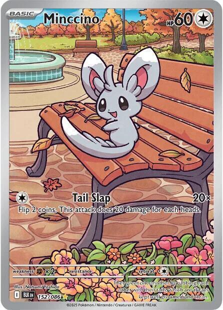 Minccino (152/086) [Scarlet & Violet: Black Bolt] - for just $9.65! 
