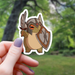 Frog Paladin RPG Class Inspired Sticker - 3" - for just $3.50! 