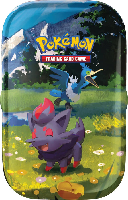 Ascended Heroes Mini Tin [Zorua & Cramorant] [ASC] - for just $24.99! 