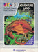 Adventure Land (VIC-20) - for just $0! 
