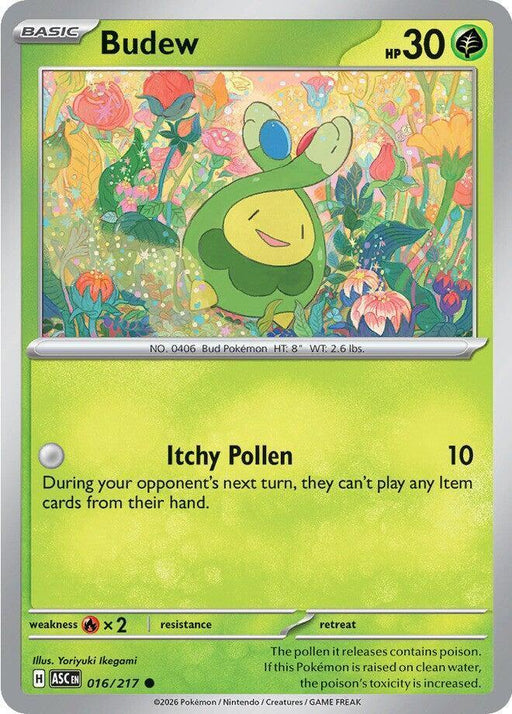 Budew (016/217) [Mega Evolution: Ascended Heroes] - for just $0.10! 
