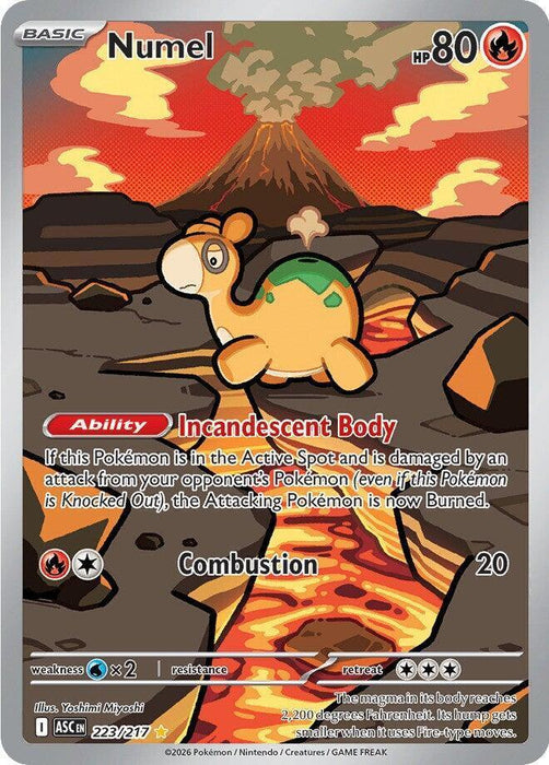 Numel (223/217) [Mega Evolution: Ascended Heroes] - for just $2.55! 
