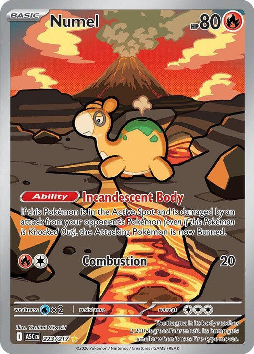 Numel (223/217) [Mega Evolution: Ascended Heroes] - for just $2.25! 