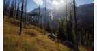 Way of The Hunter – PlayStation 5 (PS5) - for just $18.99! 