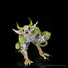 D&D: Quasit Life-Sized Familiar - for just $649.99! 