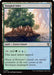 Tangled Islet (SOC-411) - Commander: Secrets of Strixhaven - for just $0.08! 