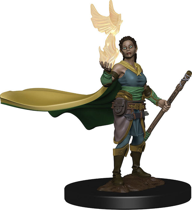 D&D: Icons of the Realms - Elf Female Druid - for just $8.99! 