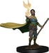 D&D: Icons of the Realms - Elf Female Druid - for just $8.99! 