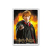 Dragon Shield: Standard 100ct Art Sleeves - Wizarding World (Ron Weasley) - Just $0! Shop now at Retro Gaming of Denver