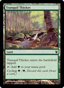 Tranquil Thicket (Duel Decks: Izzet vs Golgari) Near Mint - for just $0.13! 