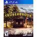 Truberbrook (Playstation 4) - Just $0! Shop now at Retro Gaming of Denver