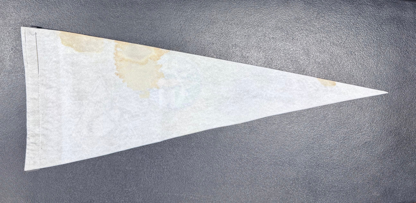 Pittsburgh Penguins Vs Islanders April 8, 2010 Final Regular Season Home Game Mellon Arena NHL Pennant - for just $25! 