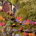 Gamers Grass Tufts: Garden Flowers Set- Wild - for just $15.95! 