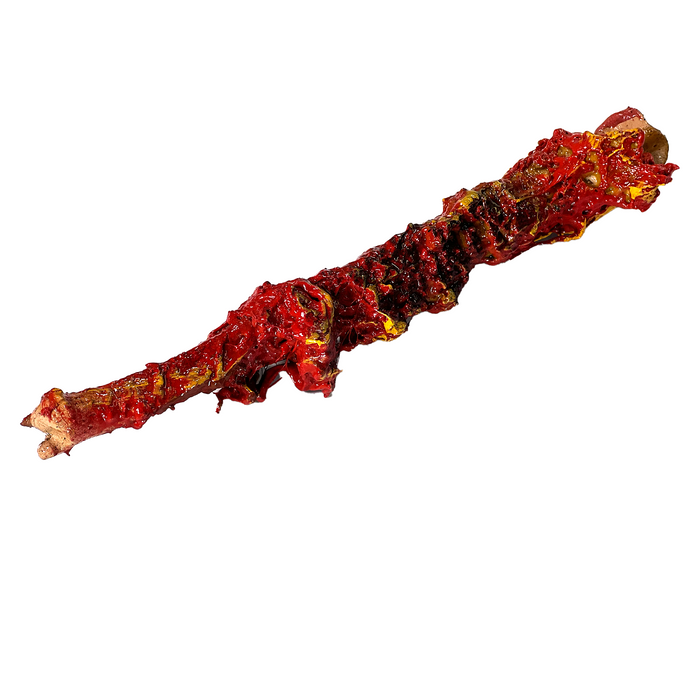 Realistic Ulna Bone Lightweight Rigid Foam - with Light Gore Effects - for just $35! 