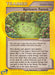 Apricorn Forest (118/147) [Aquapolis] - for just $2.50! 