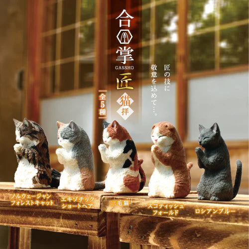 WISHING CATS BLIND BOX (1 Blind Box) - for just $9.99! 
