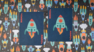 Spacecraft Playing Cards - for just $12.99! 