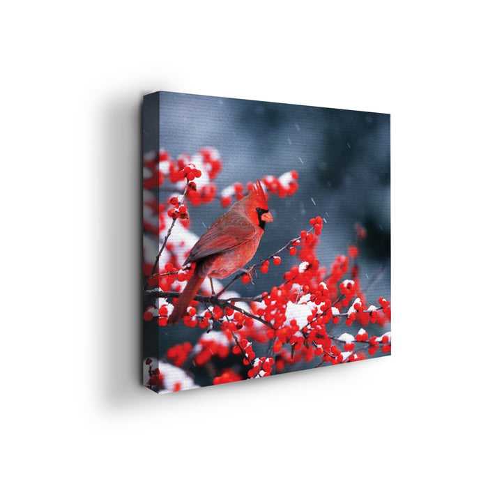Red Cardinal Wall Canvas Set of 1 - for just $30.99! 