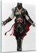 Assassin Wall Canvas 1 Piece - for just $28.99! 