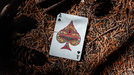 Psychonauts Playing Cards by Joker and the Thief - for just $24.99! 