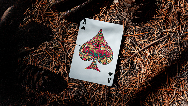 Psychonauts Playing Cards by Joker and the Thief - for just $24.99! 