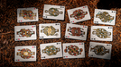Psychonauts Playing Cards by Joker and the Thief - for just $24.99! 