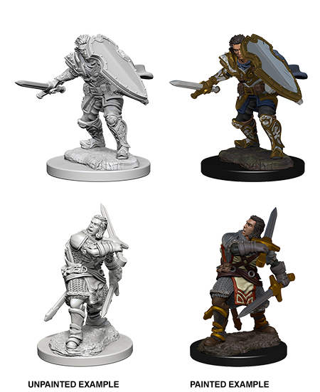 D&D: Nolzur's Marvelous Miniatures - Human Male Paladin - for just $5.99! 