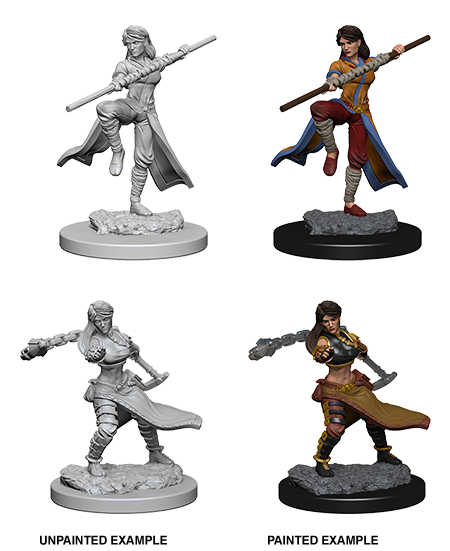 D&D: Nolzur's Marvelous Miniatures - Human Female Monk - for just $5.99! 