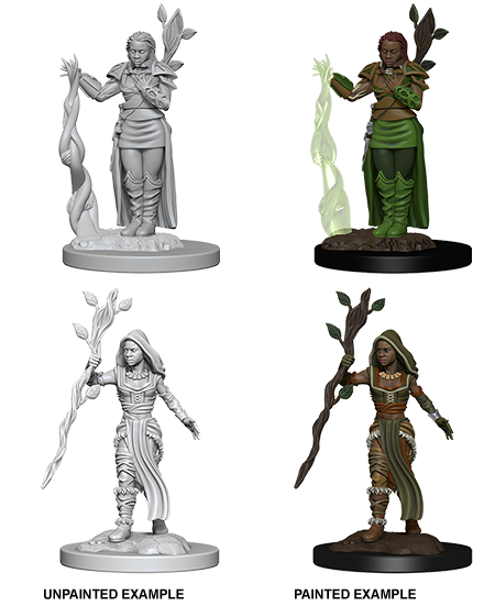 D&D: Nolzur's Marvelous Miniatures - Human Female Druid - for just $5.99! 