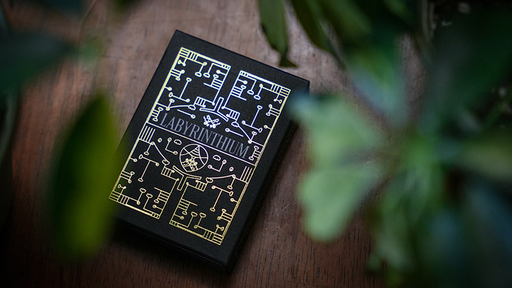 Labyrinthium Playing Cards - for just $14.99! 