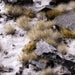 Gamers Grass Tufts: Winter 5mm- Wild - for just $8.99! 
