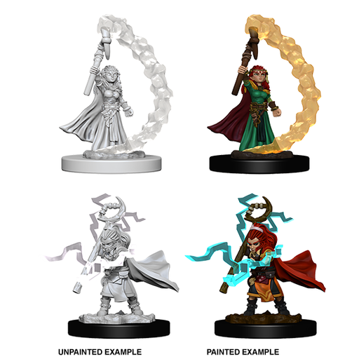 Pathfinder: Deep Cuts - Gnome Female Sorcerer - Just $5.99! Shop now at Retro Gaming of Denver