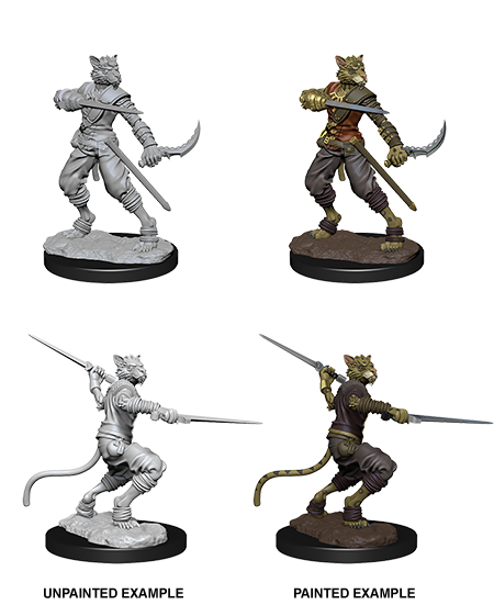 D&D: Nolzur's Marvelous Miniatures - Tabaxi Male Rogue - for just $5.99! 