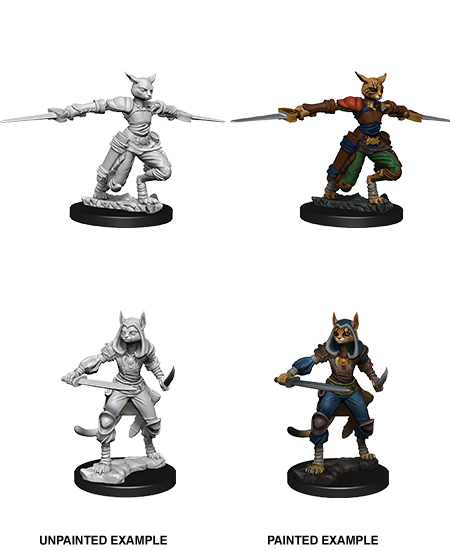 D&D: Nolzur's Marvelous Miniatures - Tabaxi Female Rogue - for just $5.99! 