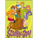 Scooby Doo: Group Magnet - for just $4.49! 
