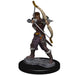 D&D: Icons of the Realms - Female Elf Ranger - for just $8.99! 