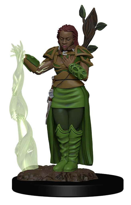 D&D: Icons of the Realms - Human Female Druid - for just $8.99! 