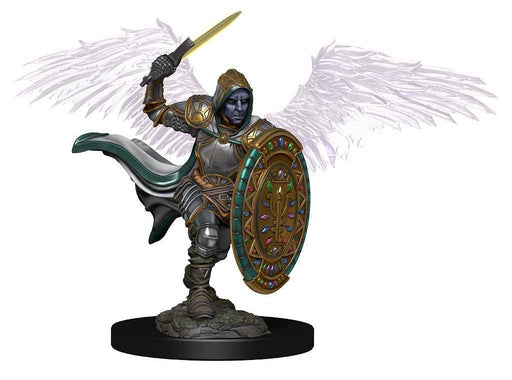 D&D: Icons of the Realms - Aasimar Male Paladin - for just $8.99! 