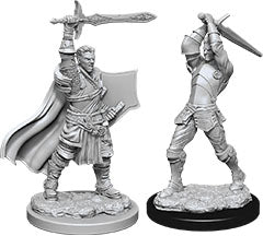D&D: Nolzur's Marvelous Miniatures - Male Human Paladin - for just $5.99! 