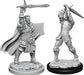 D&D: Nolzur's Marvelous Miniatures - Male Human Paladin - for just $5.99! 