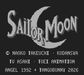 Sailor Moon – Game Boy English Version Reproduction - for just $24.99! 
