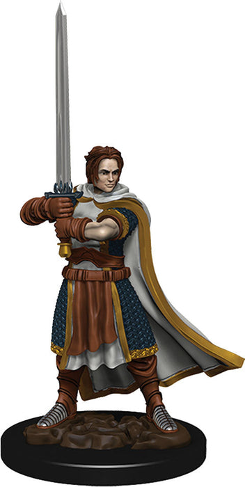 D&D: Icons of the Realms - Human Cleric Male Premium Figure - for just $8.99! 