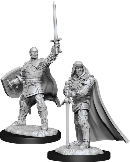 D&D: Nolzur's Marvelous Miniatures - Human Paladin Male - for just $5.99! 