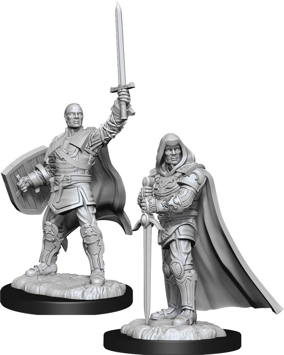 D&D: Nolzur's Marvelous Miniatures - Human Paladin Male - for just $5.99! 
