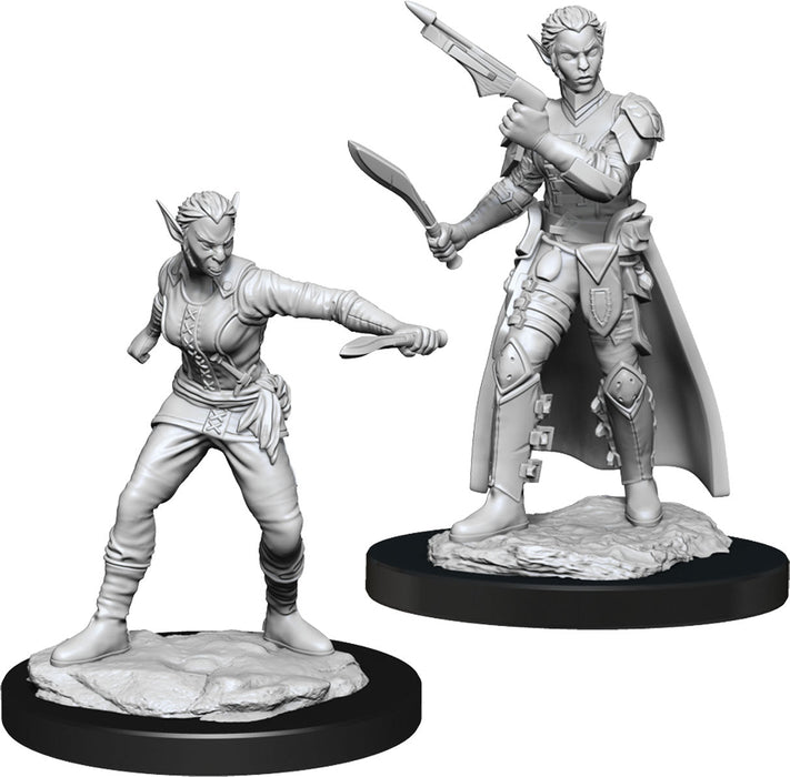 D&D: Nolzur's Marvelous Miniatures - Shifter Rogue Female - for just $5.99! 